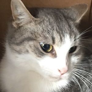 Meet your Posher, Maysa